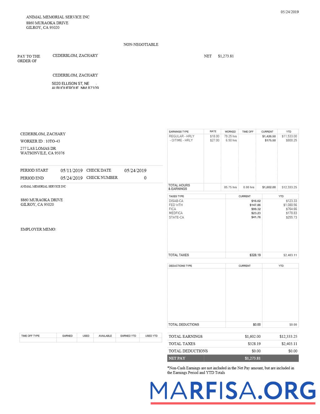 Realistic Animal Memorial Service INC pay stub template